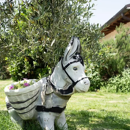 A Casa Di Elena Rigutino